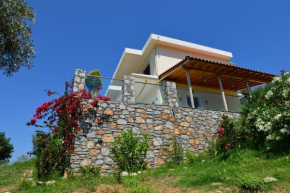 Kolios Hillside Villa